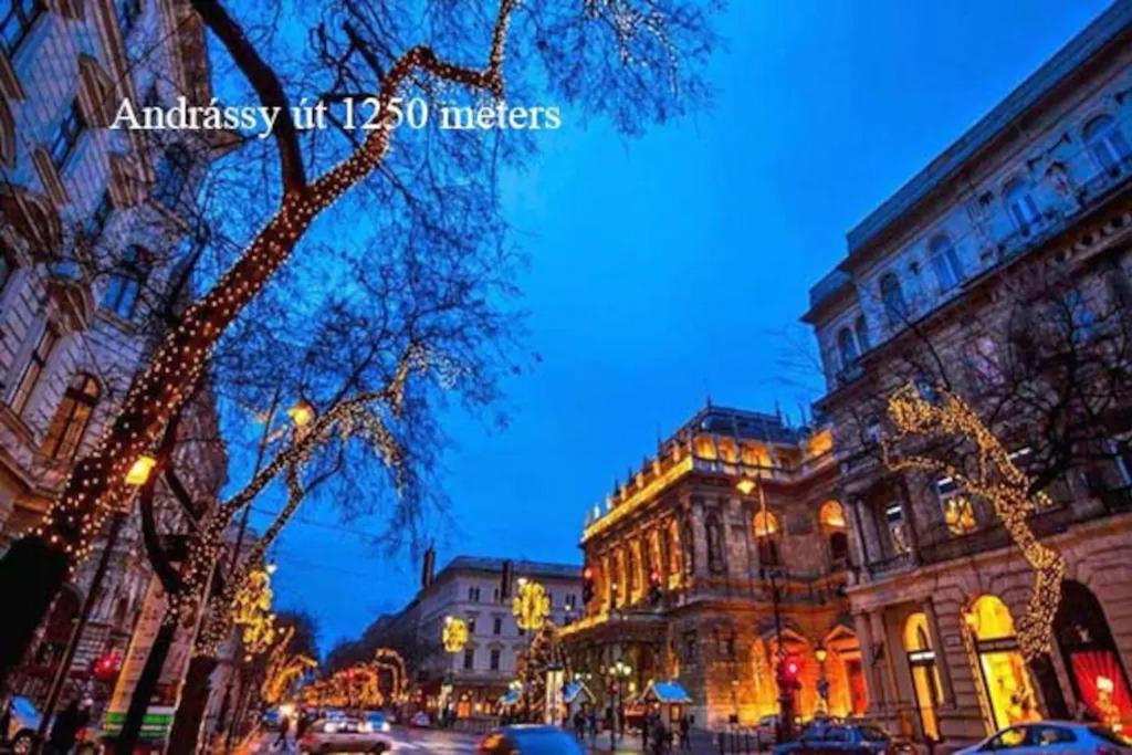 Keleti Apartment City Center Big Flat Bedroom Private Use Будапешт Экстерьер фото